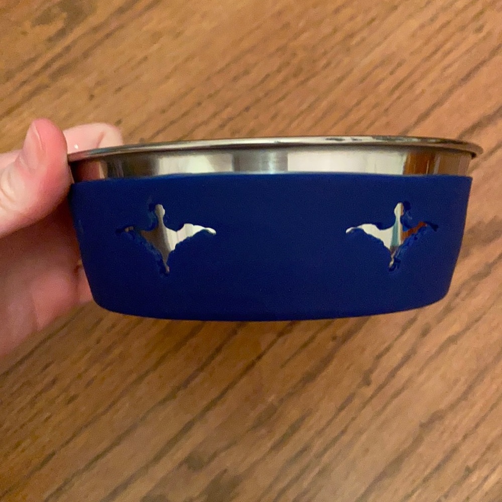 Disney tails haunted mansion pet bowl